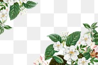 White vintage flowers png border, transparent background