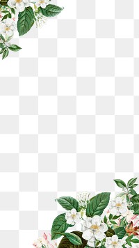 White vintage flowers png border, transparent background