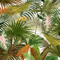 Tropical png palm trees, transparent background