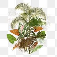 Tropical palm tree png, transparent background