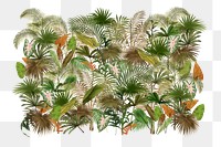 Tropical palm trees png, botanical collage art, transparent background