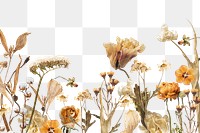 Autumn flower bordre png seasonal botanical, transparent background