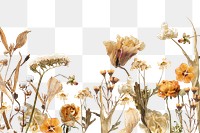 Autumn flower bordre png seasonal botanical, transparent background