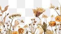 Autumn flower bordre png seasonal botanical, transparent background