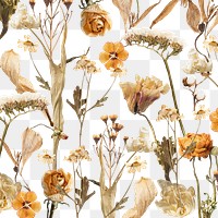 Aesthetic Autumn flower png seasonal botanical, transparent background