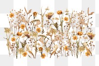 Autumn aesthetic png flower branch collage art on transparent background