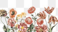 Aesthetic vintage flower png border, transparent background