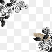 Vintage flower png border, black and white, transparent background