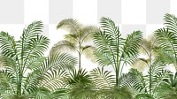 Palm trees png tropical, transparent background