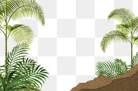 Tropical palm trees png border, ripped paper, transparent background