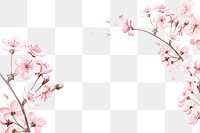 Spring cherry blossom png border, transparent background