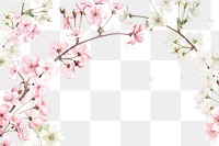 Spring cherry blossom png border, transparent background