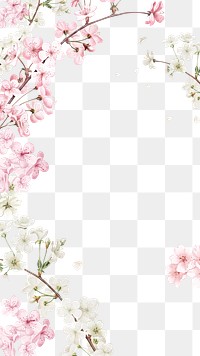 Spring cherry blossom png border, transparent background