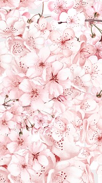 Japanese sakura png cherry blossom flower, transparent background