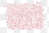 Japanese cherry blossom png, botanical collage art on transparent background