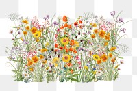 Spring wildflower png, colorful botanical collage art on transparent background