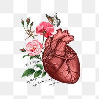 Floral human heart png, health, transparent background. Remixed by rawpixel.