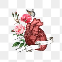 Floral human heart png, health, transparent background. Remixed by rawpixel.