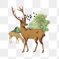 Stag deer png, wild animal collage art, transparent background