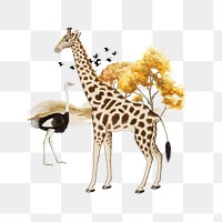 Giraffe png, wild African animal collage art, transparent background