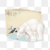 Polar bear png penguins, global warming collage art, transparent background