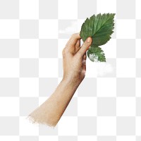 Hand holding leaf png, clean air, transparent background. Remixed by rawpixel.