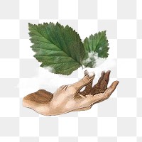 Fresh air png, hand presenting leaf & cloud, transparent background. Remixed by rawpixel.