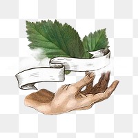 Fresh air png, hand presenting leaf & cloud, transparent background. Remixed by rawpixel.