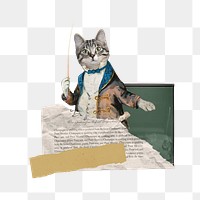 Cat dressed png teacher, education collage, transparent background. Remixed by rawpixel.