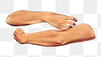 PNG Arms  hugging gesture illustration transparent background