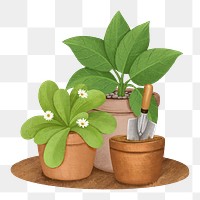 Aesthetic houseplant png, hobby illustration, transparent background