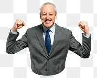 Successful senior businessman png, transparent background