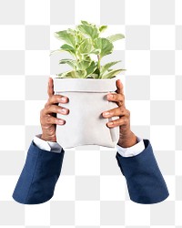 PNG hand holding plant, collage element, transparent background