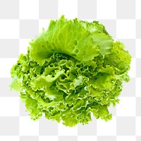 Market green lettuce png, transparent background