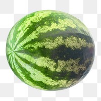 Summer favorite watermelon png, transparent background