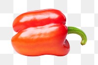 Bell pepper png collage element on transparent background