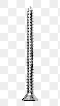 Png screws, isolated object, transparent background