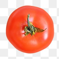 Fresh red tomato  png, transparent background