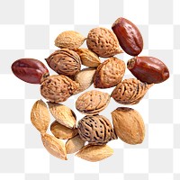 Mixed nuts png collage element on transparent background