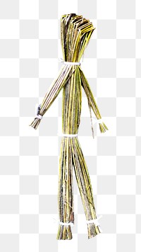 Png straw puppet, isolated object, transparent background