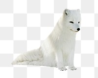 Baby fox png, design element, transparent background