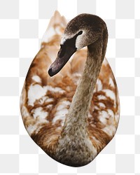 Mother goose png, transparent background