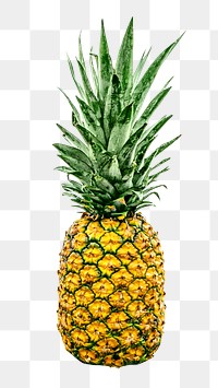 Fresh pineapple png, transparent background