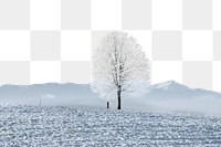 PNG Winter lone tree border, transparent background