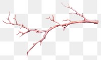 PNG Branch drawing antler white background. AI generated Image by rawpixel.
