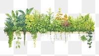 PNG Vertical garden outdoors nature plant