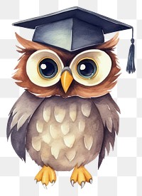 PNG Owl student graduation cartoon bird. 