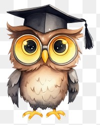 PNG Owl student graduation education cartoon. 