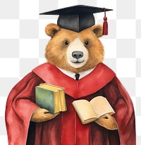 PNG Teacher bear graduation cartoon white background. AI generated Image by rawpixel.