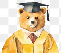 PNG Teacher bear graduation cartoon  